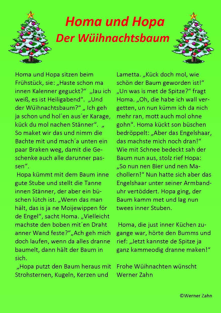 50 Der Wüihnachtsbaum