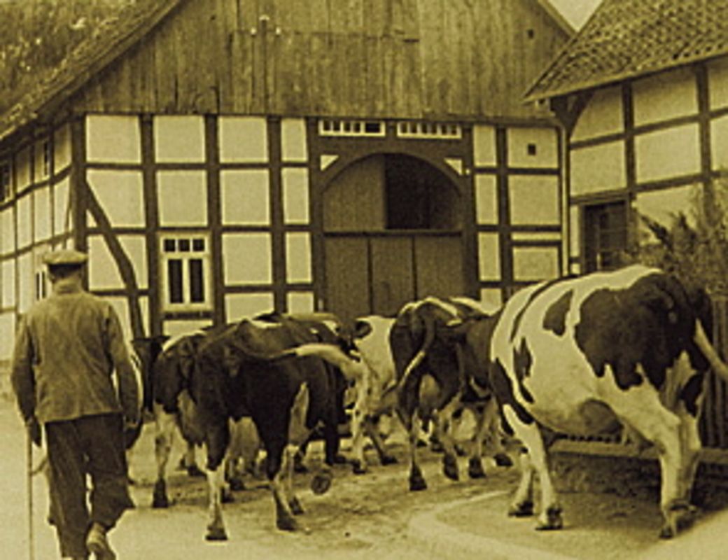 csm_HirtenAbend_Bild_7ed86a5910 csm_HirtenAbend_Bild_7ed86a5910